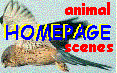 HOMEPAGE Animal Scenes