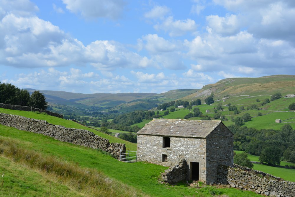 Muker Oxnop Satron Ivelet Bridge circular walk, Swaledale, Yorkshire Dales National Park, North Yorkshire, England