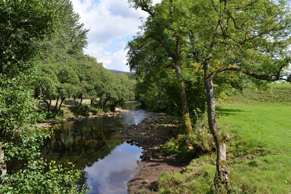 Muker Oxnop Satron Ivelet Bridge circular walk, Swaledale, Yorkshire Dales National Park, North Yorkshire, England