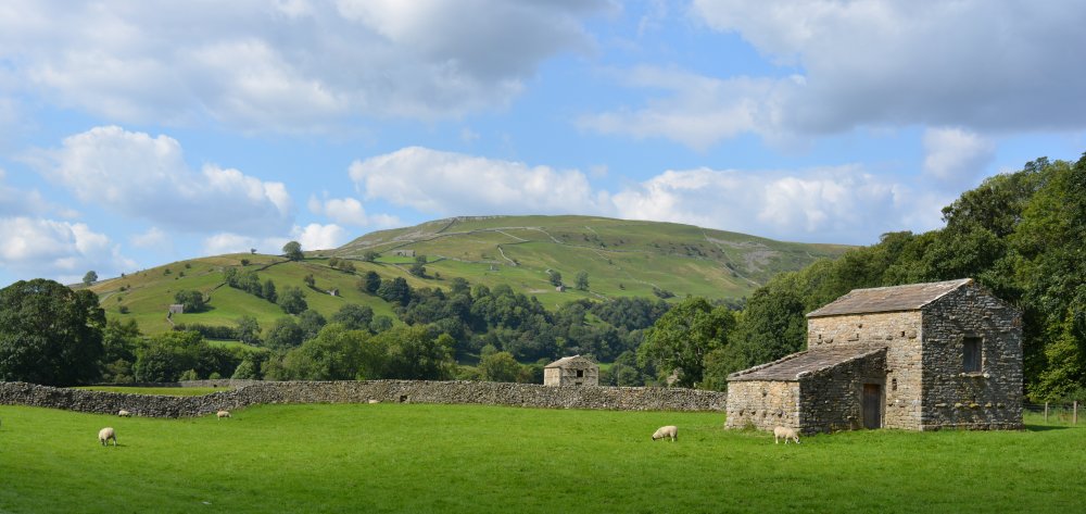 Muker Oxnop Satron Ivelet Bridge circular walk, Swaledale, Yorkshire Dales National Park, North Yorkshire, England
