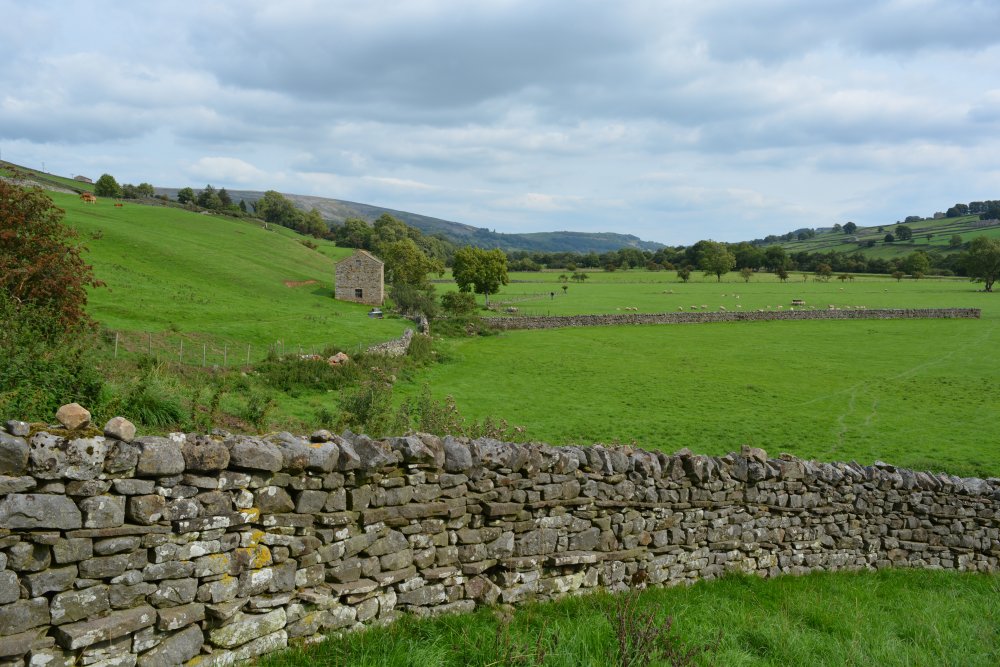 Reeth to Calver Hill Healaugh village River Swale circular walk Swaledale, North Yorkshire, England