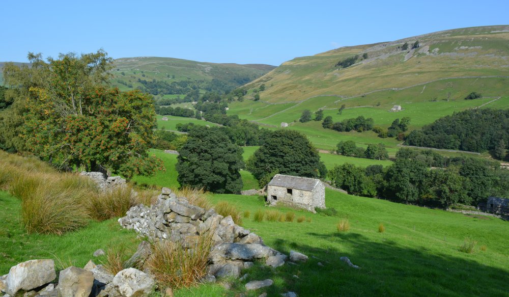 Muker Oxnop Satron Ivelet Bridge circular walk, Swaledale, Yorkshire Dales National Park, North Yorkshire, England