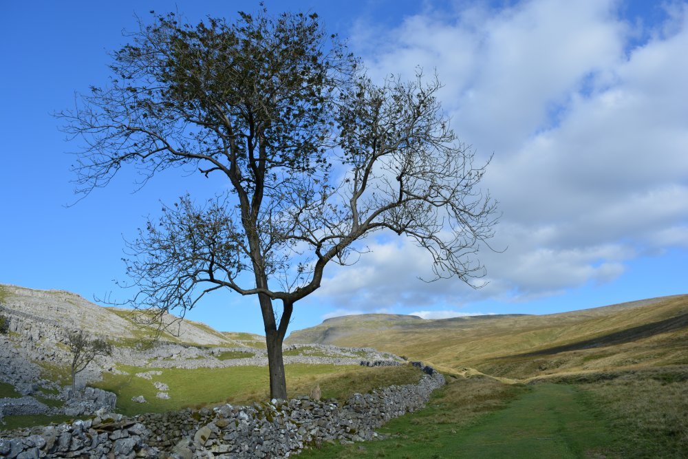 Climbing Ingleborough walk