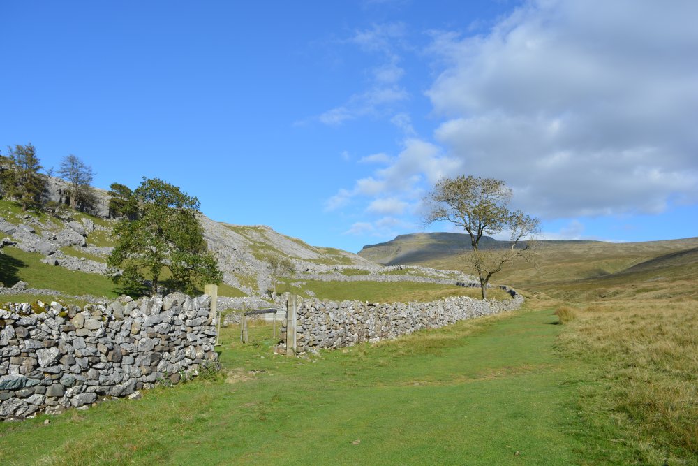 Climbing Ingleborough walk