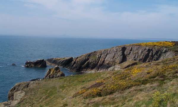 Howth to Sutton Cliff Walk