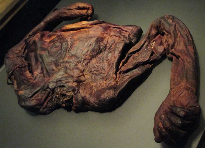 Oldcroghan Man, an iron age bogman dated to 362-175 BCE (~25 years old) National Museum Ireland Archaeology Dublin