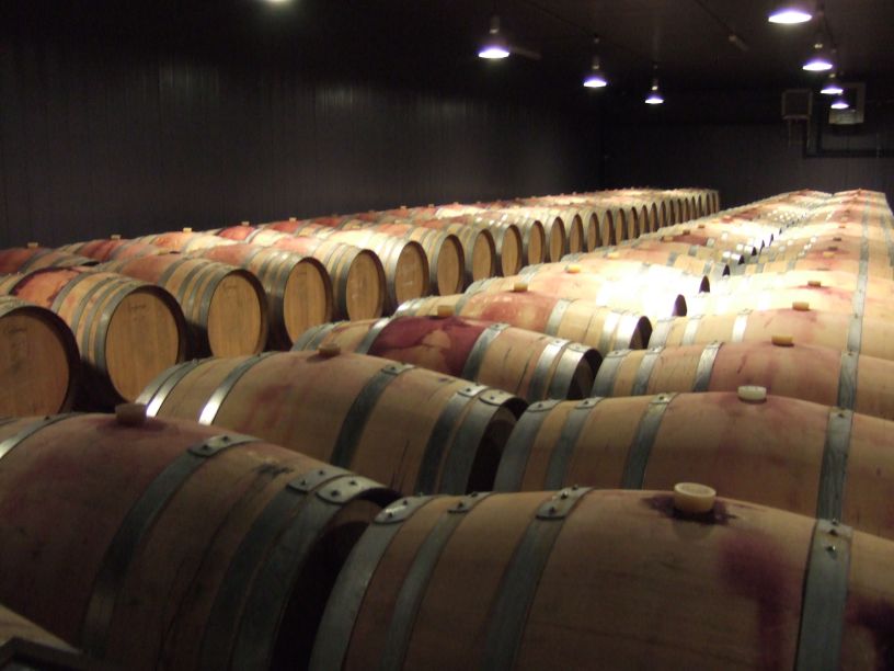 Lungarotti Winery Vinyard Wines Umbria Italy