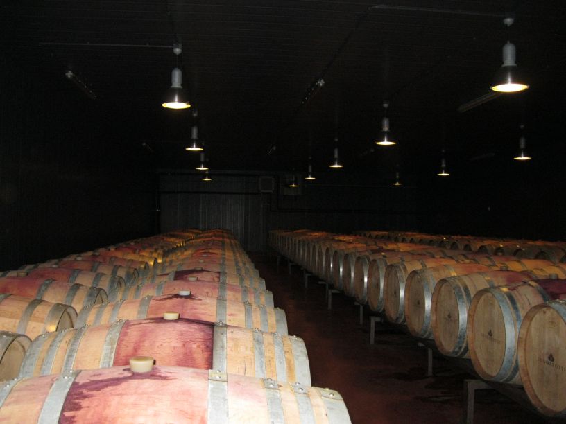 Lungarotti Winery Vinyard Wines Umbria Italy