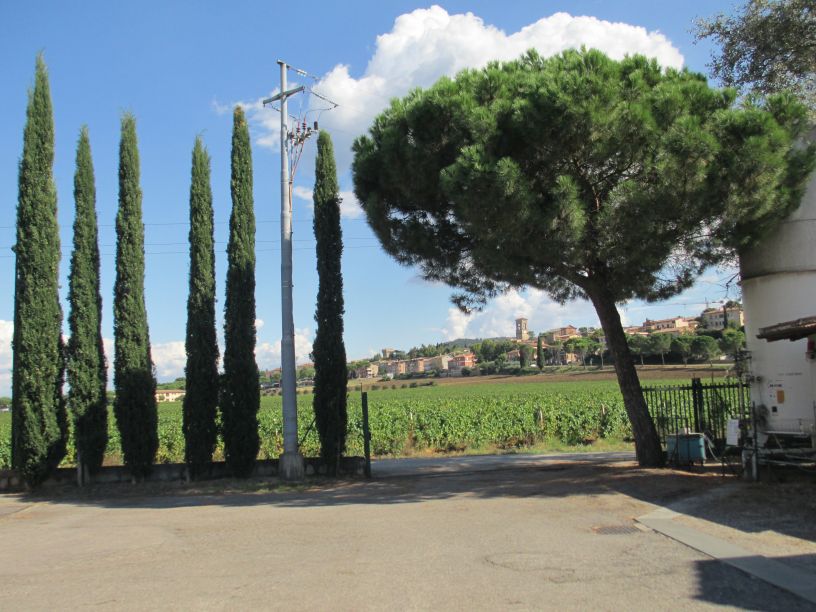 Lungarotti Winery Vinyard Wines Umbria Italy