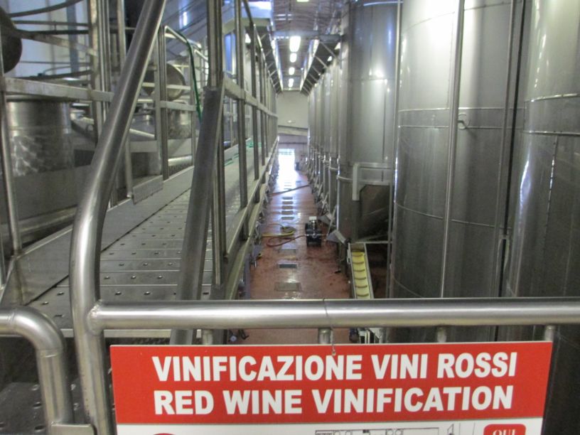 Lungarotti Winery Vinyard Wines Umbria Italy