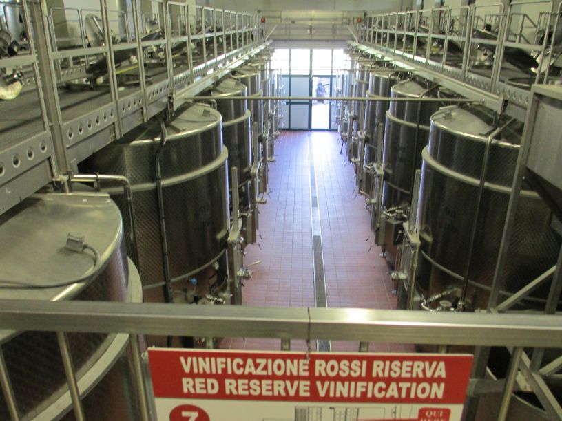 Lungarotti Winery Vinyard Wines Umbria Italy