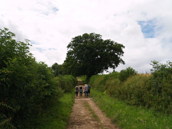 Helmsley - Rievaulx walk