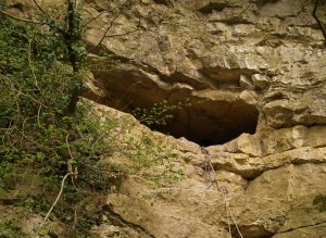 Close up of the Kirkdale cave entrance, with ropes dangling down to aid entry.