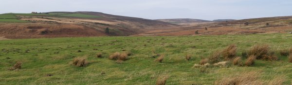 Wild and lonely Sleddale despite starting from the Commondale-Kildale road Wild and lonely Sleddale despite starting from the Commondale-Kildale road