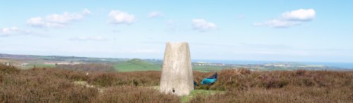 The old trig point on Siss Cross Hill, the highest point on Danby Low Moor The old trig point on Siss Cross Hill, the highest point on Danby Low Moor