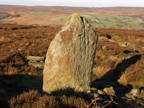 Standing stone set in ring cairn on Danby Rigg