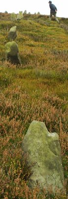Ancient field wall above Westerdale
