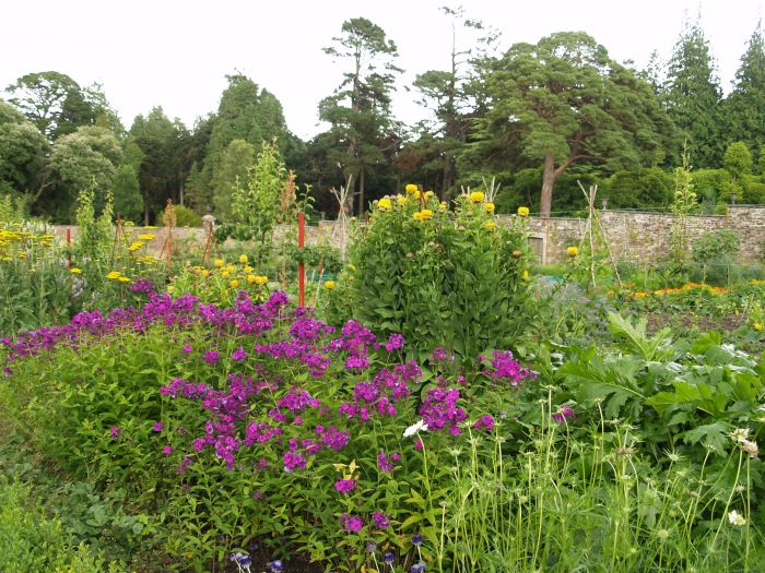 Woodstack Gardens & Arboretum