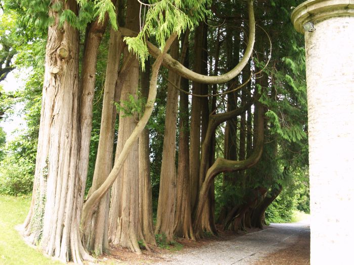 Woodstack Gardens & Arboretum