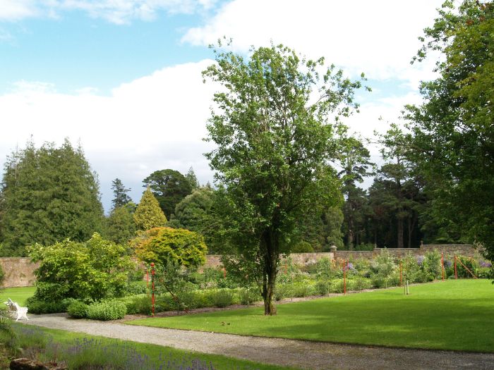 Woodstack Gardens & Arboretum
