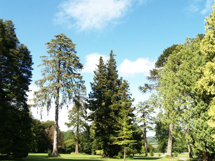 Woodstack Gardens & Arboretum