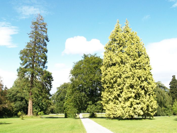 Woodstack Gardens & Arboretum