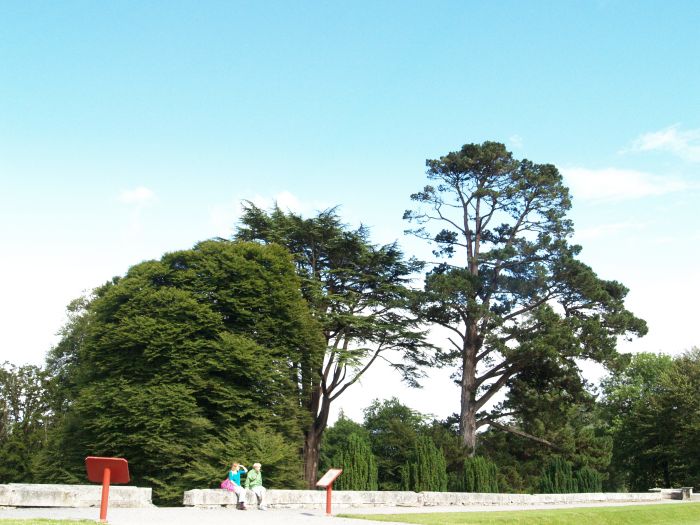 Woodstack Gardens & Arboretum