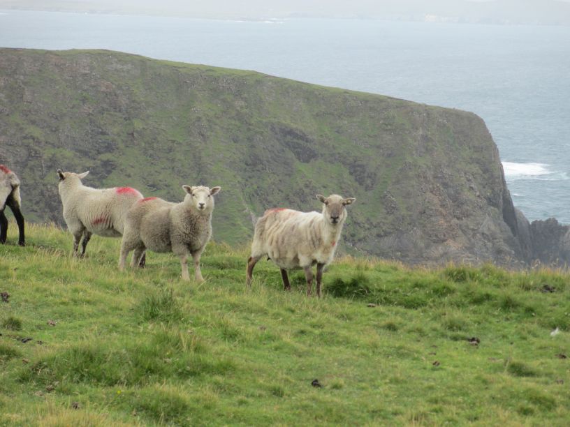The Ceathru Thaidhg (Carrowteige) Children of Lir Loop Walk