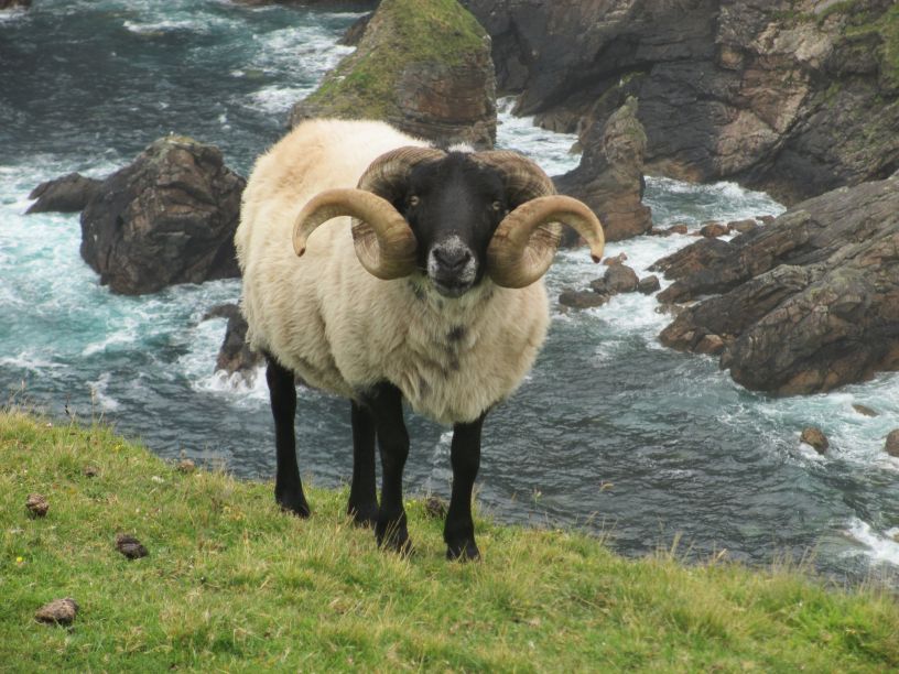 The Ceathru Thaidhg (Carrowteige) Children of Lir Loop Walk