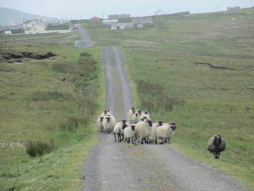 The Ceathru Thaidhg (Carrowteige) Children of Lir Loop Walk