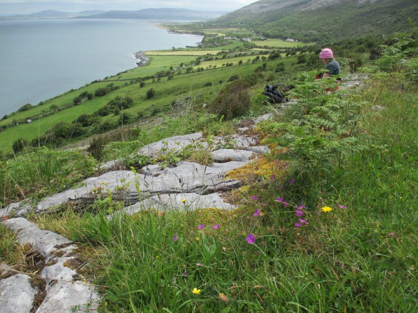 Black Head Loop Walk, Fanore, The Burren