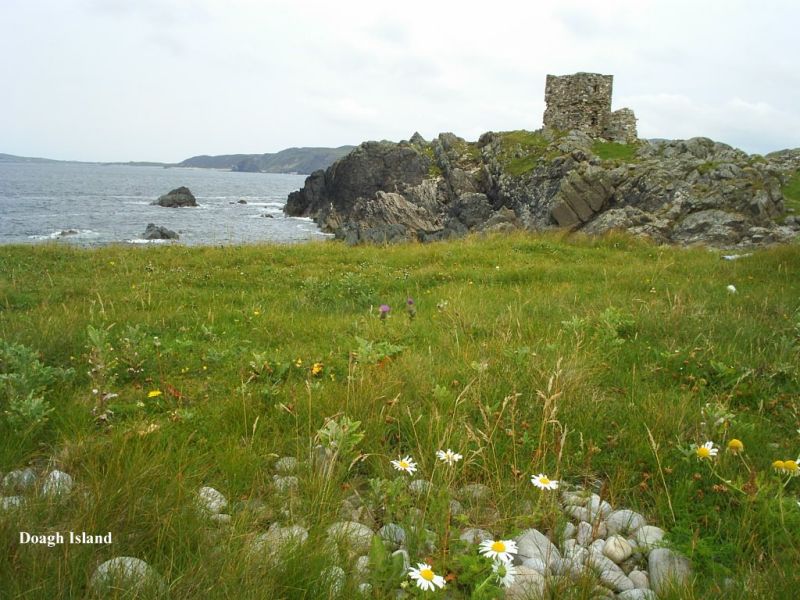 Doagh Island is a quiet peninsular for wild flowers, sea breezes and relaxing walking