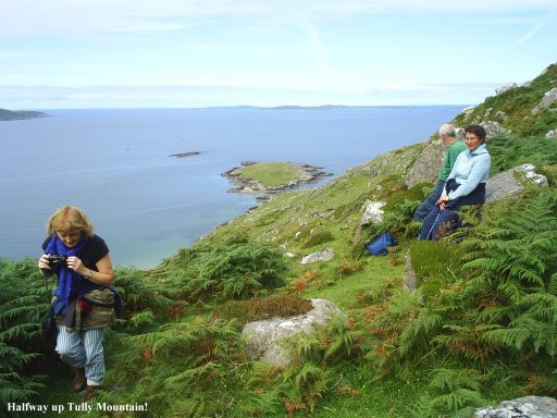Halfway up Tully Mountain, looking west out to the Atlantic Ocean. Its not a high mountain BUT its a spectacular walk of varied views.