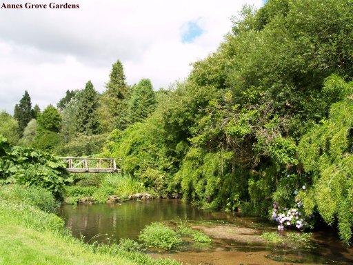 A great variety of trees and shrubs line the many paths in Annes Grove Gardens.
