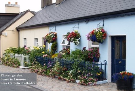 A beautiful flower garden just down from Lismore Catholic Cathedral.