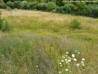 Liss Ard Gardens