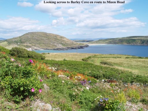 Looking across to Barley Cove from the road to the Mizen Head Lighthouse.