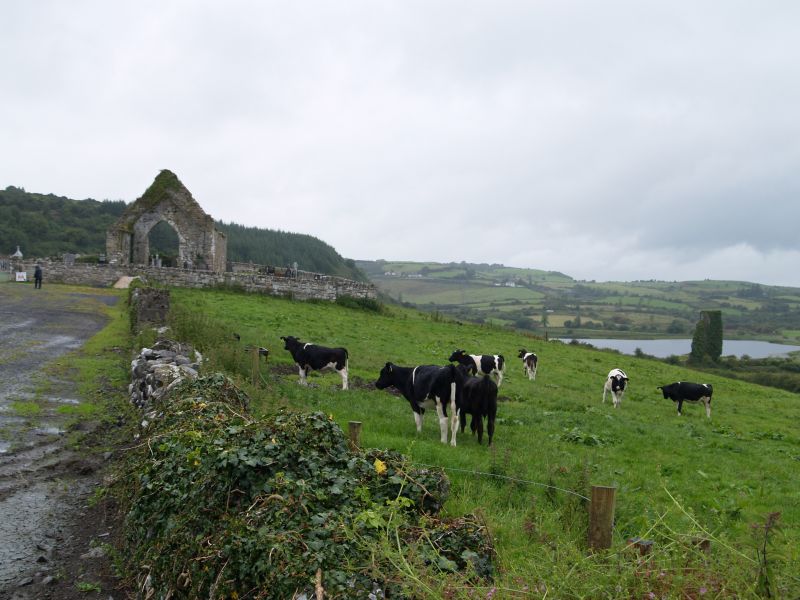 Rath Church, Loch Rath (Lake Ratha) and Rath Castle ruins stand on the edge of the lake shore. - Dysert O'Dea near Corofin, County Clare, West of Ireland