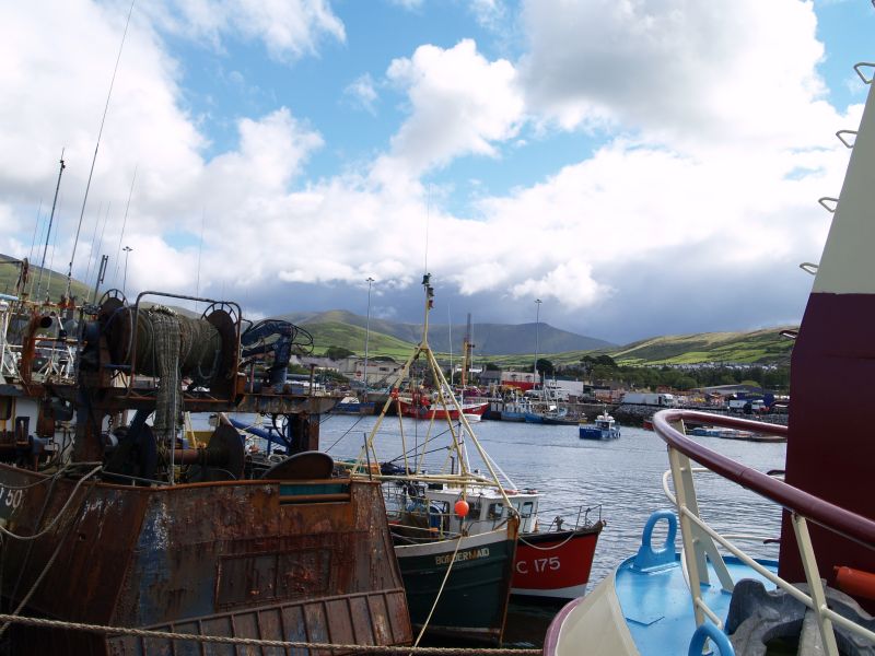 The fishing boats in Dingle Harbour - Dingle Town & Harbour, Dingle Peninsular, Co. Kerry, West of Ireland