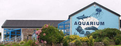 The aquarium sea-life centre - Dingle Town & Harbour, Dingle Peninsular, Co. Kerry, West of Ireland
