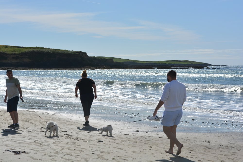 Dog walkers on Garrylucas Beach Co. Cork, West of Ireland