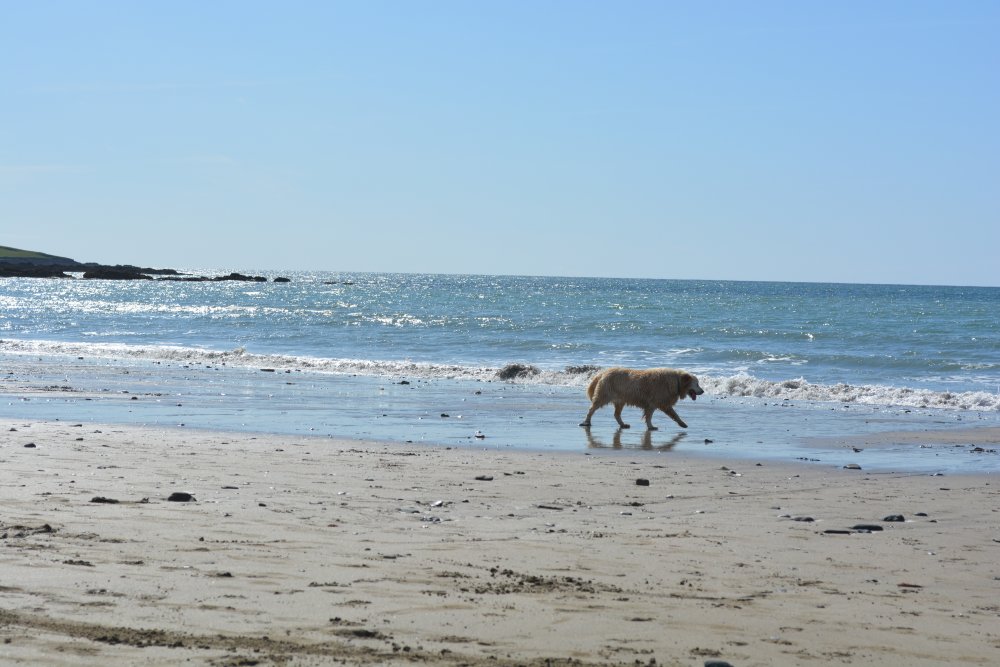 Co. Cork, West of Ireland