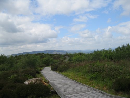 One of the boarded sections of the paths in the Cavan Burren Park walks and prehistoric sites, Co. Cavan, Ireland