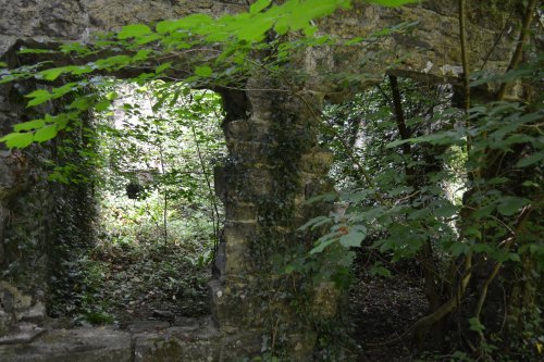 Bennetts Bridge to Kilkenny section Nore Valley Walk