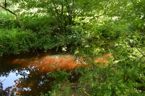 Bennetts Bridge to Kilkenny section Nore Valley Walk