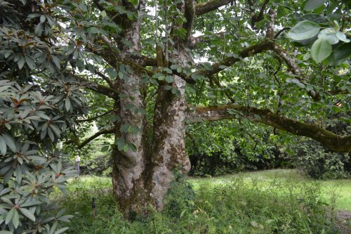  Lismore, Co. Waterford, Ireland