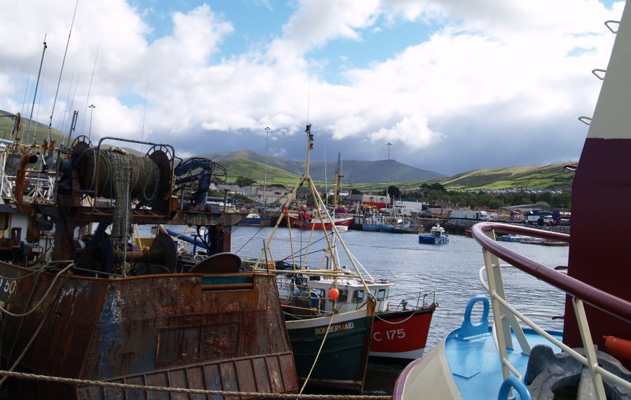 49. The beautiful scenic setting of Dingle Town and Harbour, The Dingle Peninsular, Co. Kerry, West of Ireland, Selected scenic views from holidays in Ireland