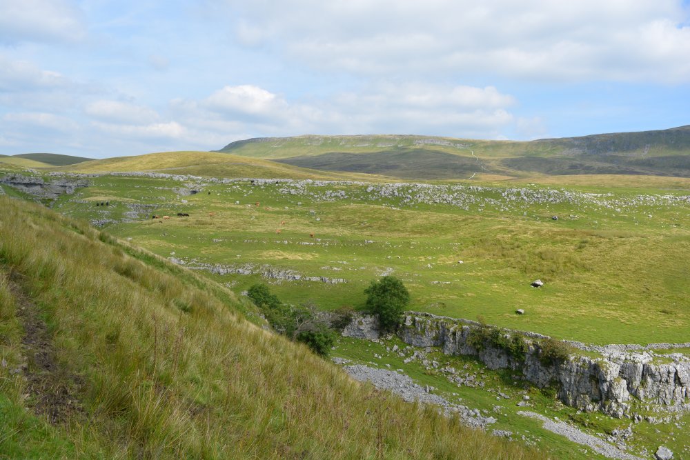 A dry valley, typical of limestone country near Pen-y-ghent Climbing Pen-y-ghent, walk from Horton-in-Ribblesdale