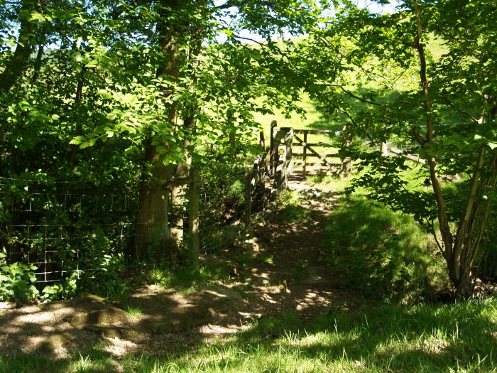 Bransdale