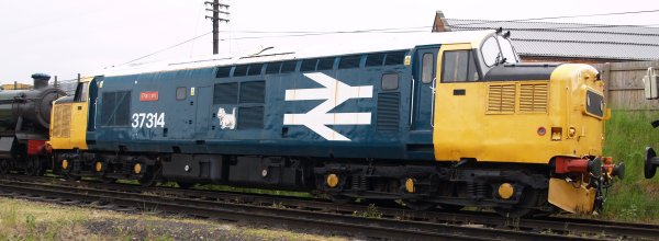 Diesels Great Central Railway: Type Diesel Class 37 37314 DALZELL after a Scottish steelworks Scottie dog emblem built 1964 as D6980 then 37190